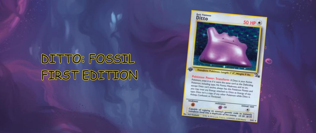 ditto pokémon